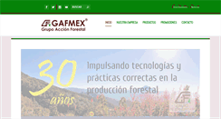 Desktop Screenshot of gafmex.com