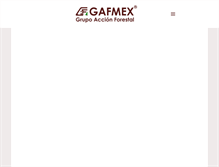 Tablet Screenshot of gafmex.com